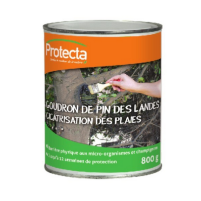 GOUDRON CICATRISANT ARBO en 800Gr