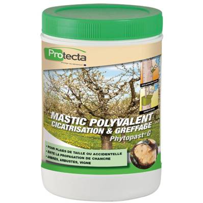 PHYTOPAST G Mastic a greffer en 1 Kg