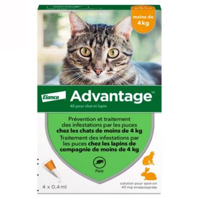 ADVANTAGE 40 SMALL (<4 Kg) Cats en 4 pipettes