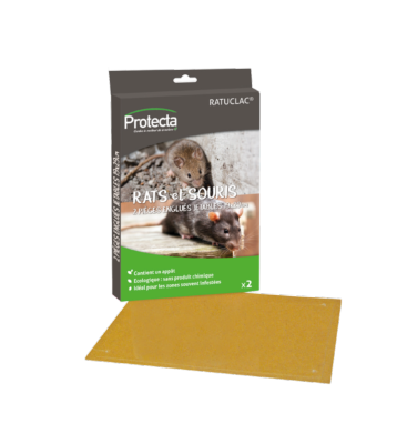 RATUCLAC SOURIS par 2 plaques 12x15cm