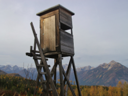 Protection & observation du gibier