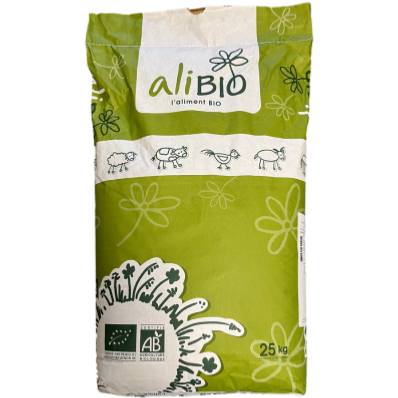 BLE GRAIN BIO FL en 25 Kg