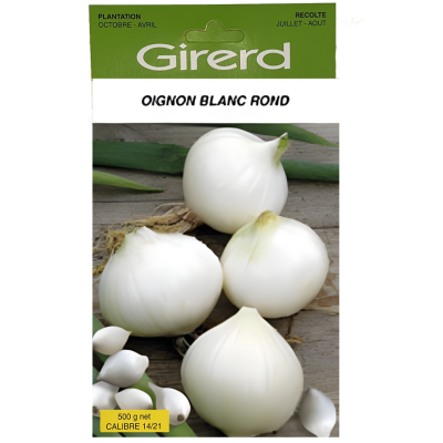 OIGNON BLANC A REPIQUER Filet de 500 Gr