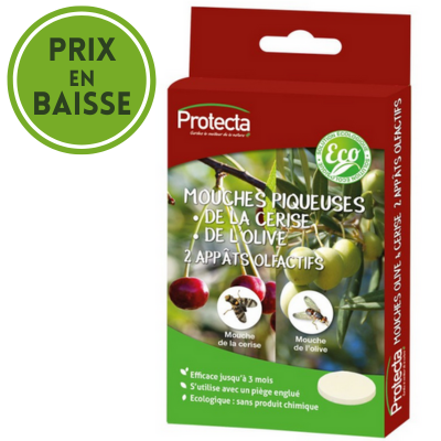 APPAT MOUCHE CERISE ET OLIVE par 2