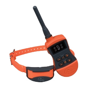COLLIER DRESSAGE Sportdog SD 875 