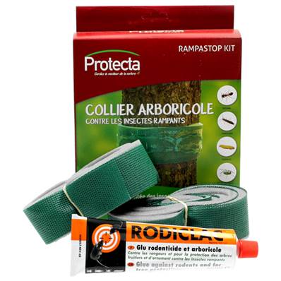 COLLIER ARBORICOLE 2x2m + TUBE GLU 135Gr + Kit collier