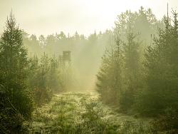 Chasse & Nature