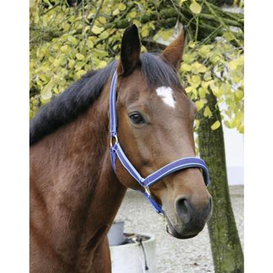 LICOL NYLON EXCLUSIF poney BLEU