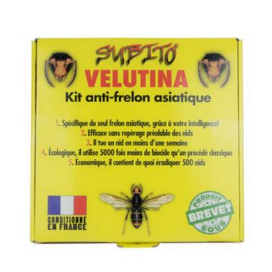 SUBITO KIT PIEGE du frelon asiatique